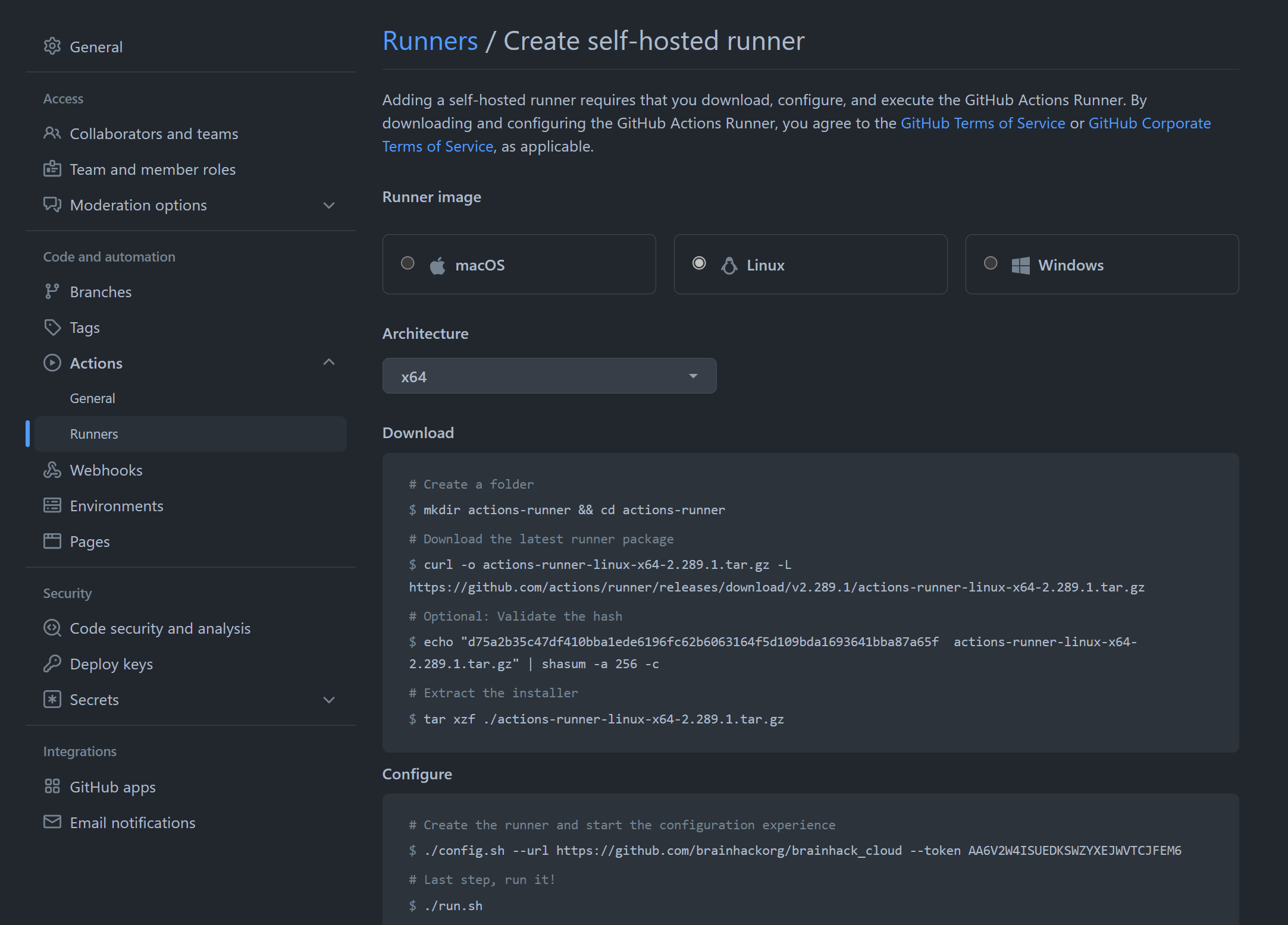 github-action-runner-brainhack-cloud