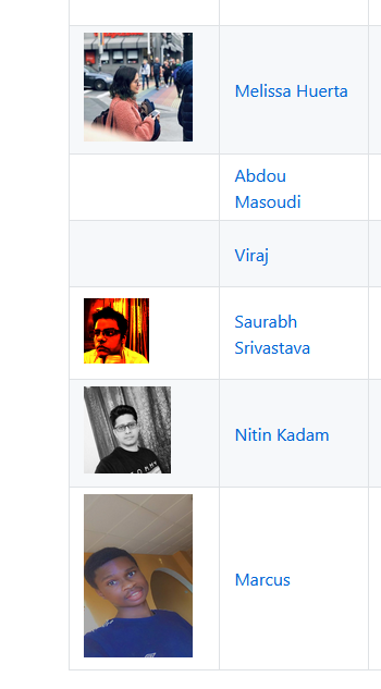 Twindle_github_issue