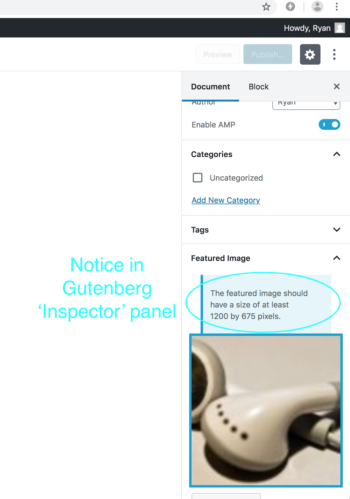 inspector-panel