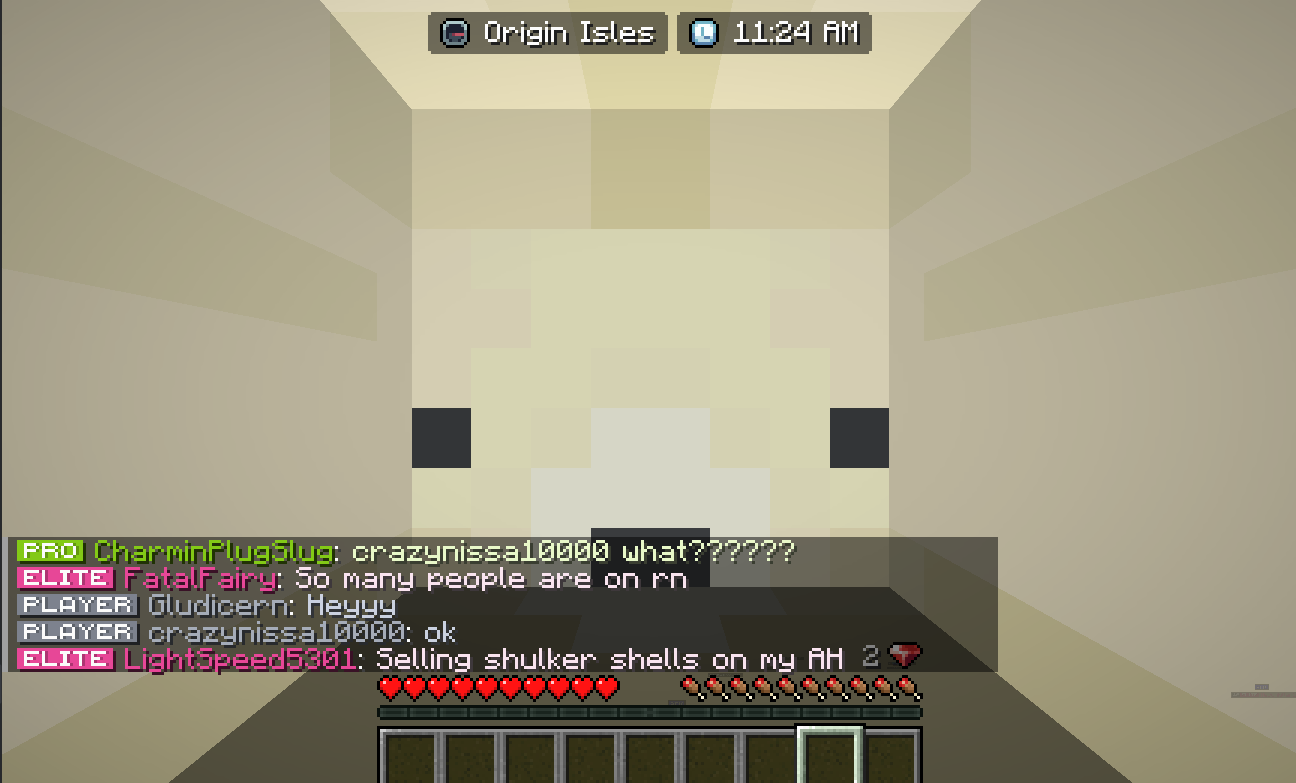 Emotes shader issue, player & mob heads not rendered from inside ...