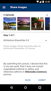 share activity - step 7