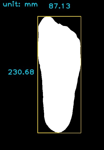 GitHub - dada00321/footprint_ruler: Estimate the foot size given two ...