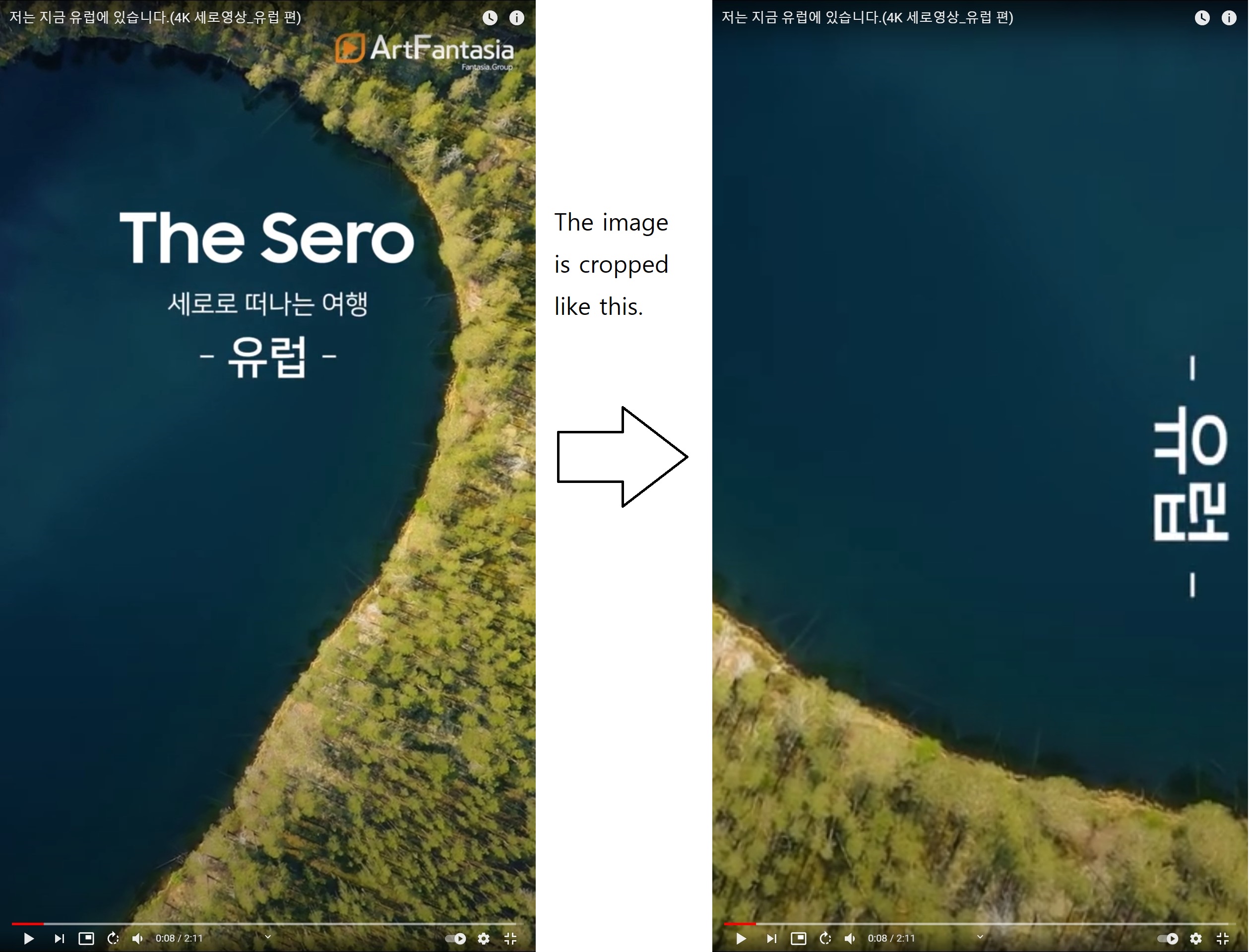Youtube Portrait Code Options for video rotation when using a portrait monitor · Issue #783 ...