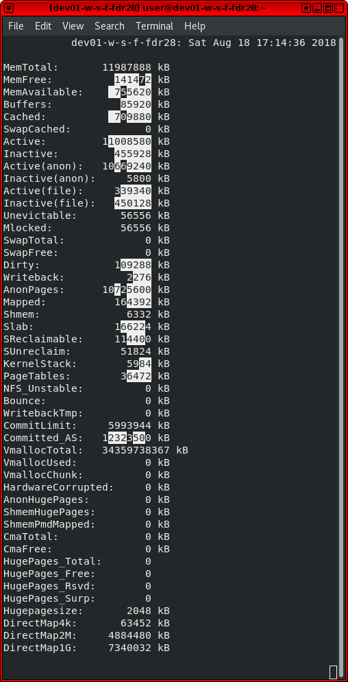 frozen_meminfo_screenshot_2018-08-18_17-38-25