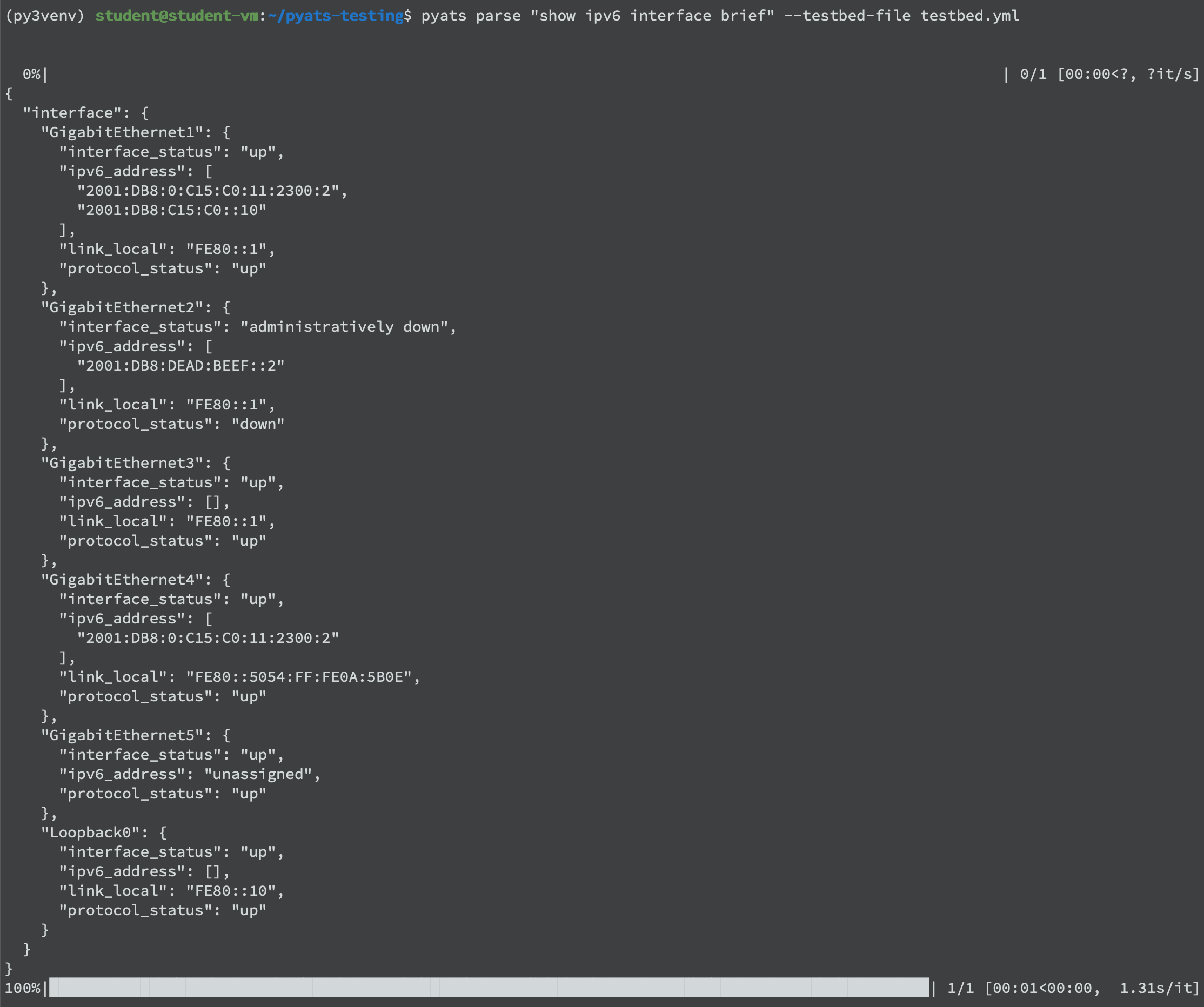 CLI-show-ipv6-int-br