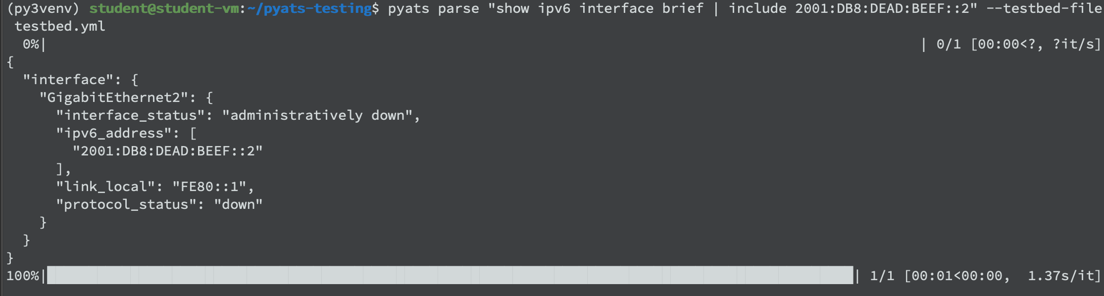 sh_ipv6_int_br_pipe_gu