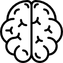 brain_top