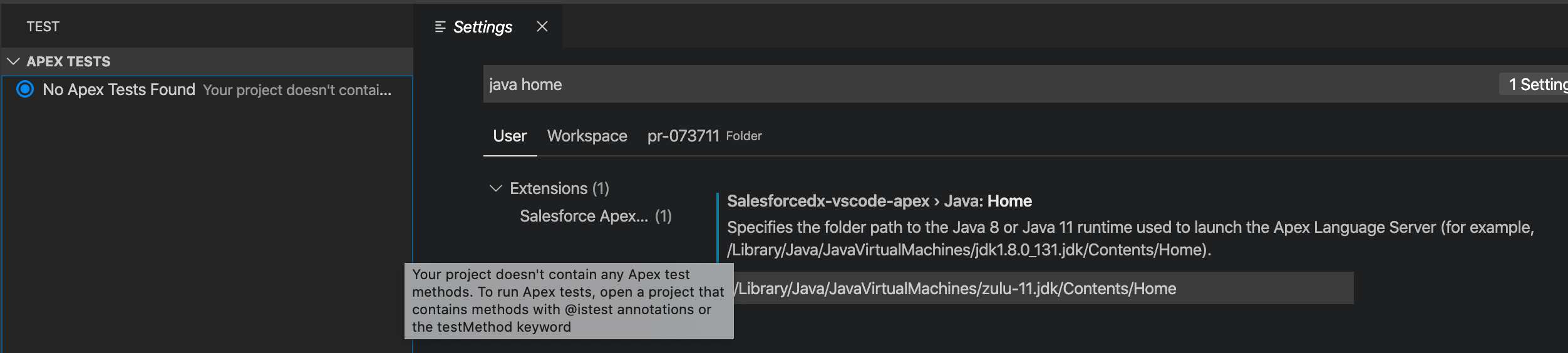 No Apex Tests Found in VS Code despite tests existing · Issue #2141 ...