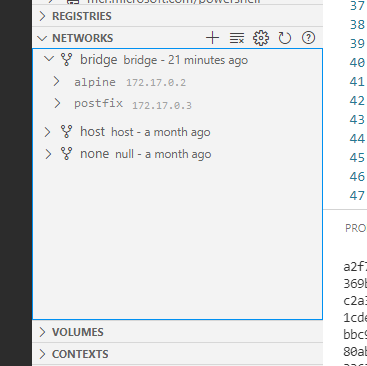 github-vscodedocker-netpanel-mockup