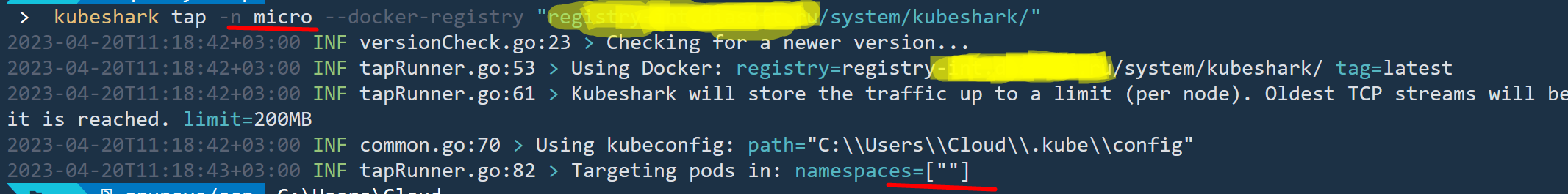 capture traffic from specific namespace doesn't work · Issue #1338 ...