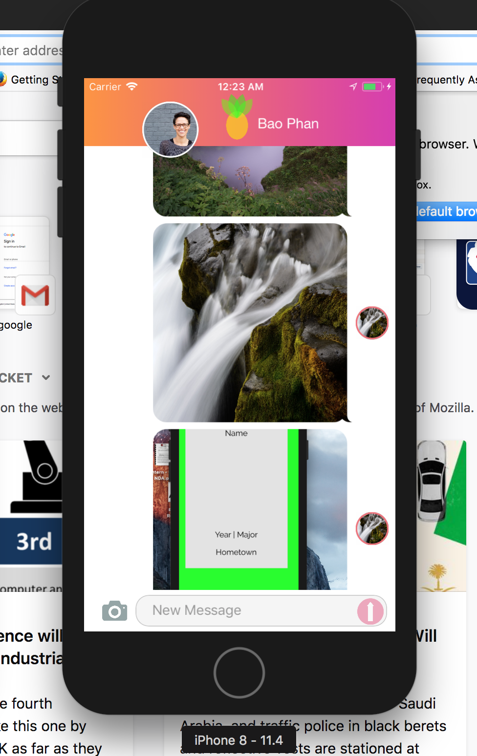screen shot 2018-08-15 at 12 23 45 am