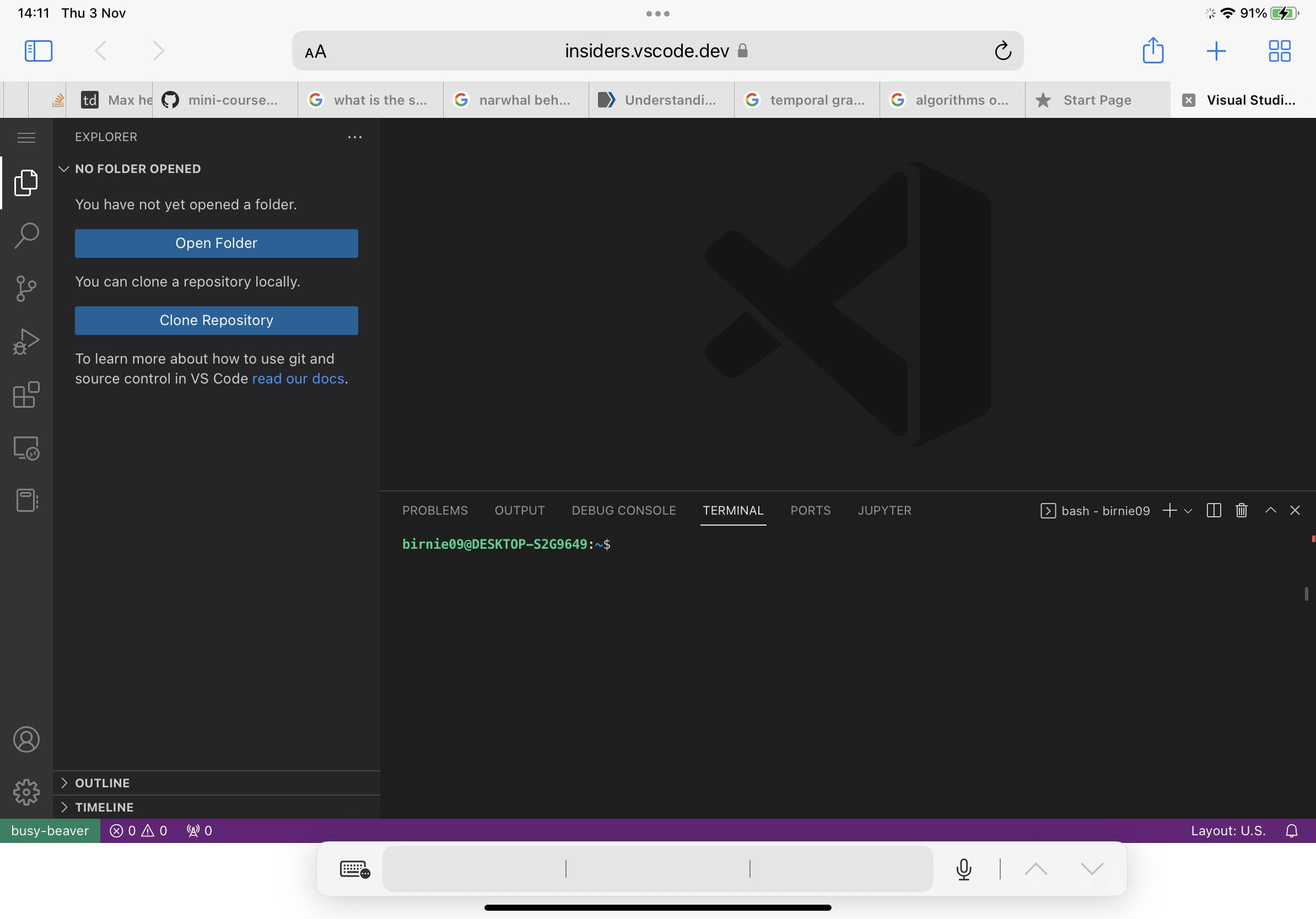 Cannot access the terminal inside from the web server on IPAD · Issue ...