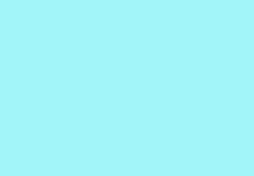highlightColor