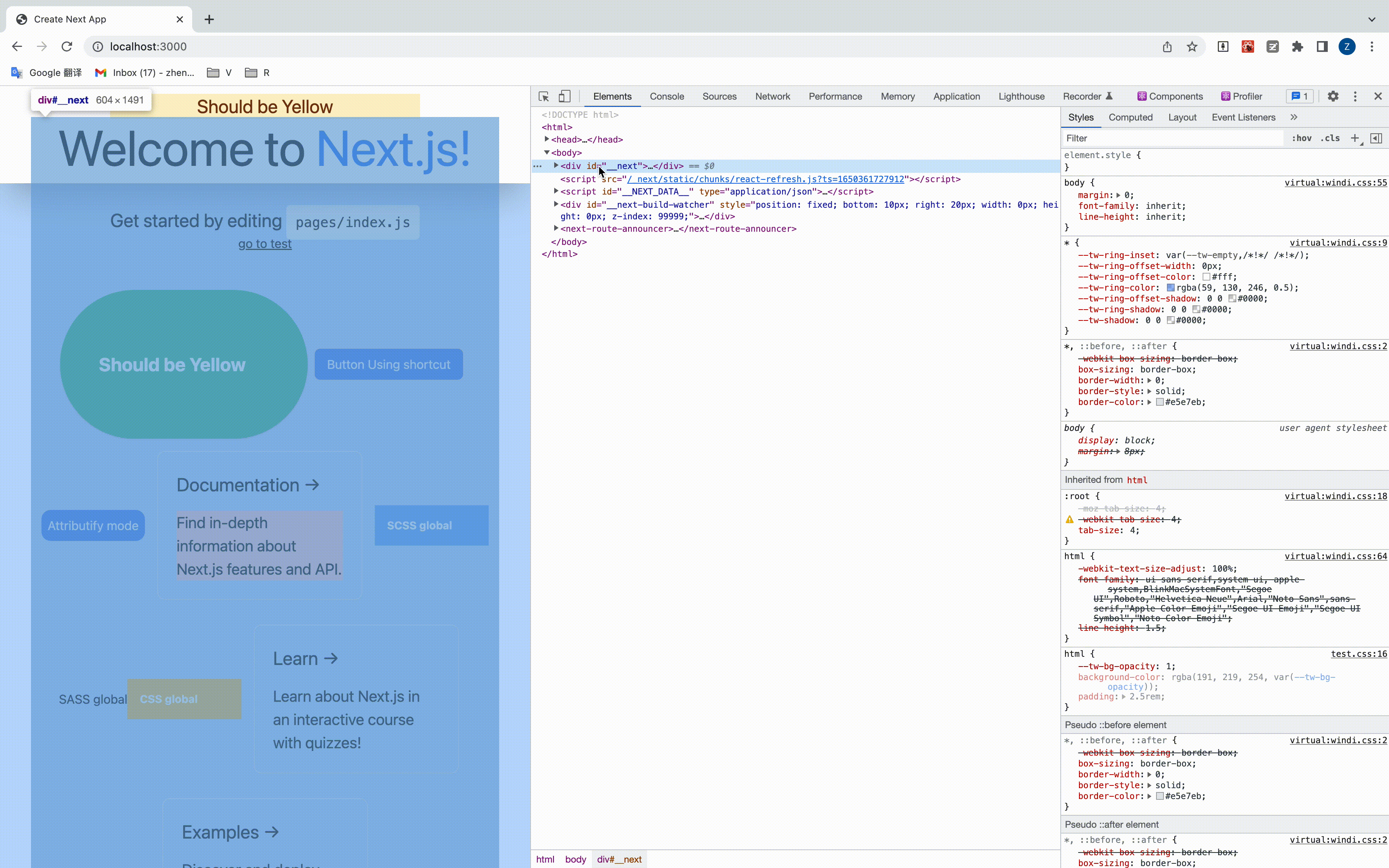 next-webpack-wini-devtools