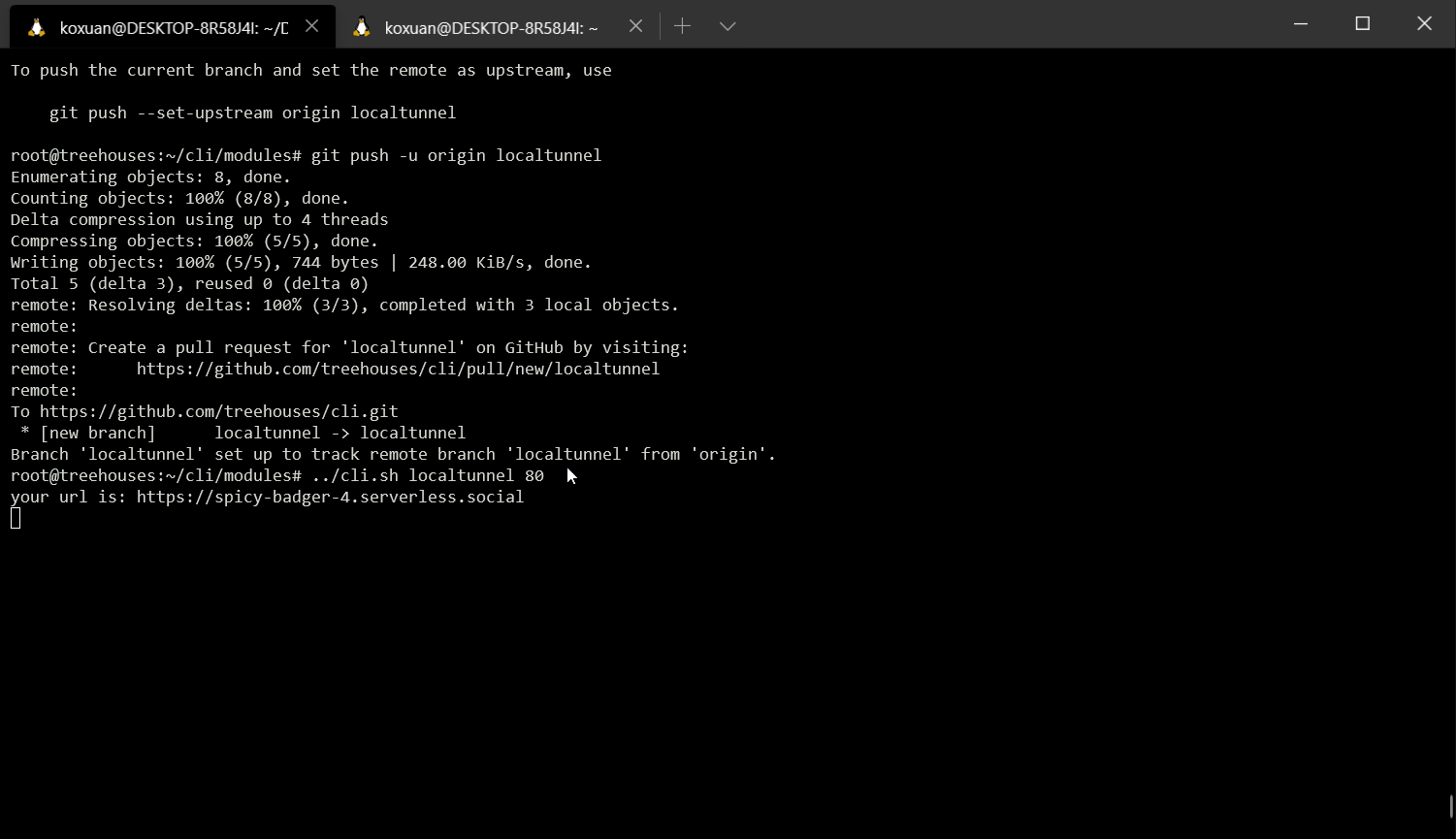 WindowsTerminal_iJrB2gL2rk