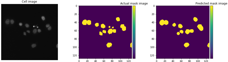 GitHub - abhishekmishra2612/Nucleus-segmentation-using-U-net