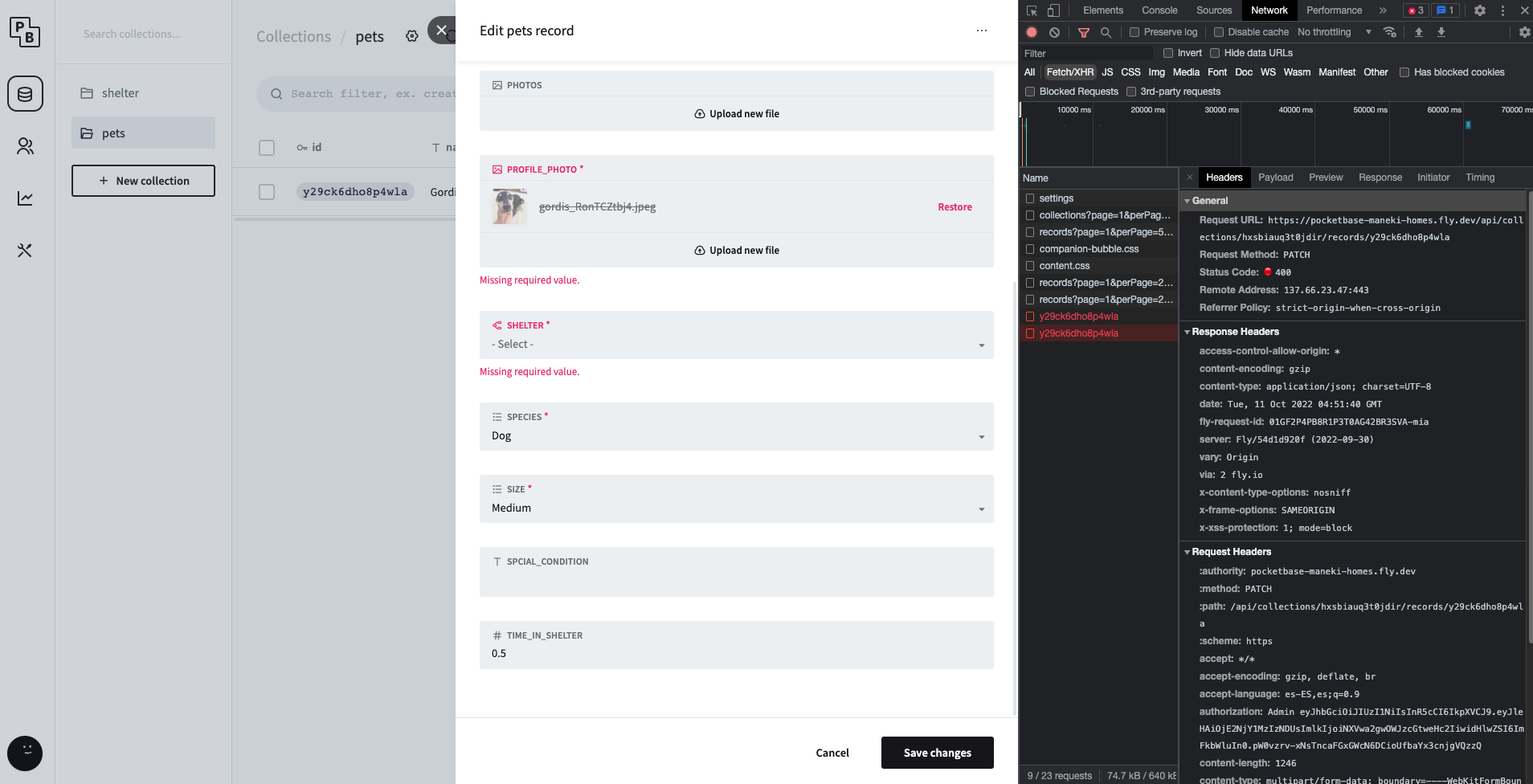 can't update records or collections - deployed to fly.io · pocketbase ...