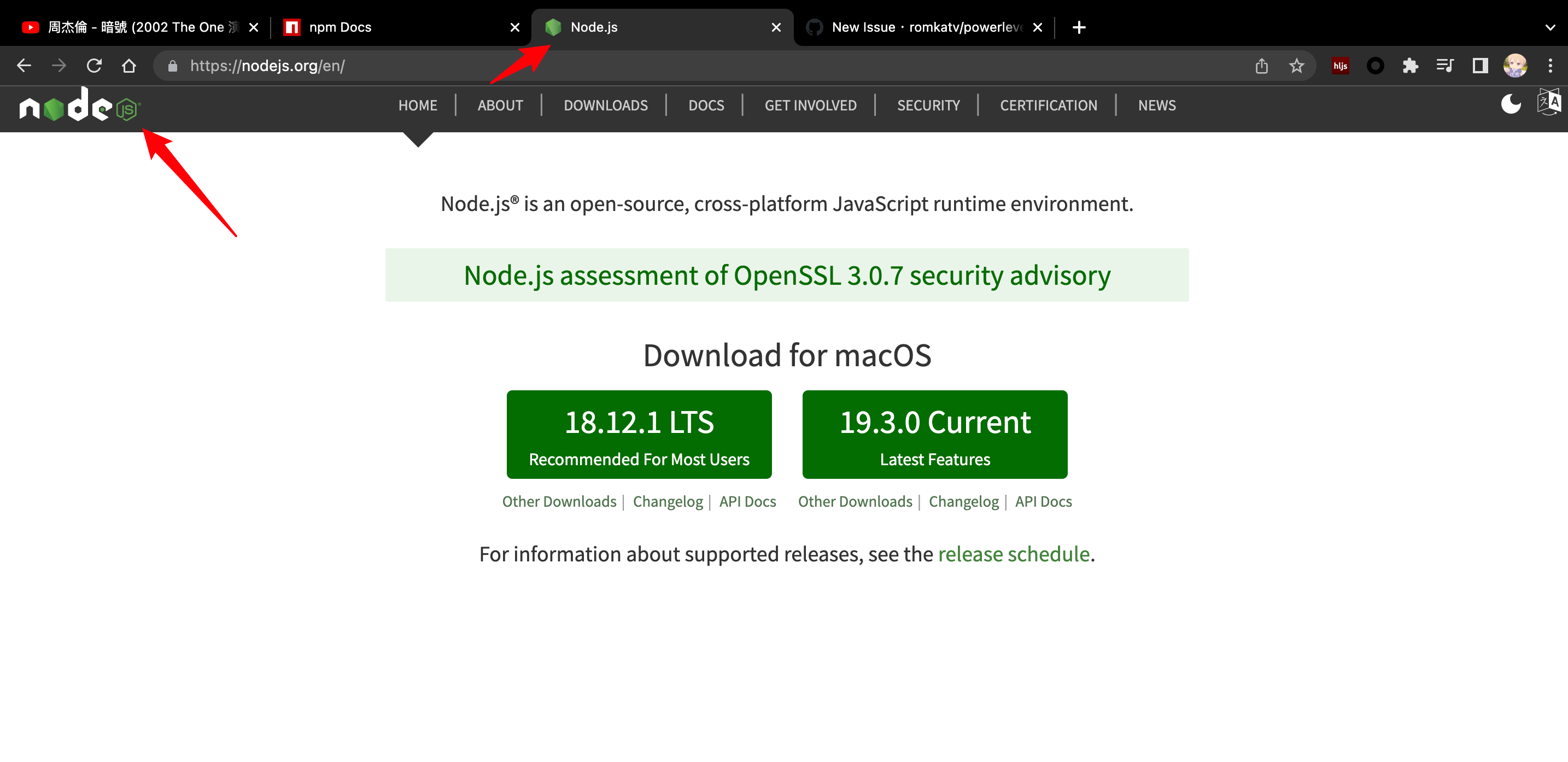 update nodejs icon · Issue #2128 · romkatv/powerlevel10k · GitHub