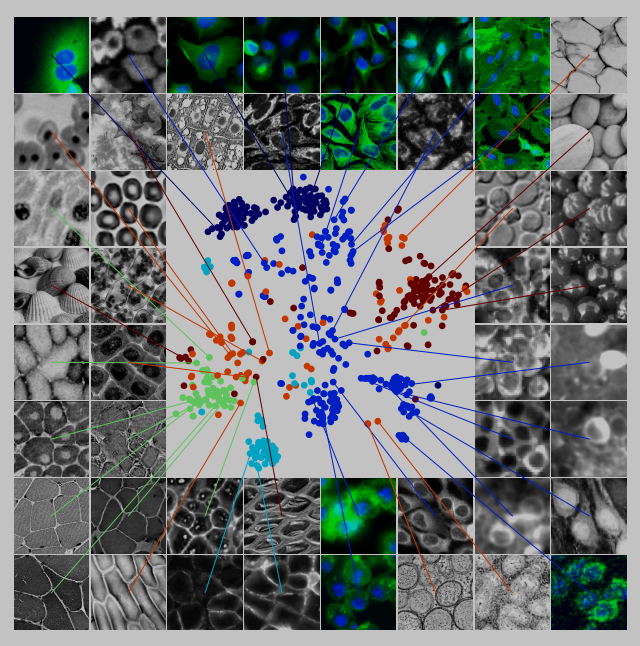 [FEATURE] Could you please share, how the dataset visualization image ...