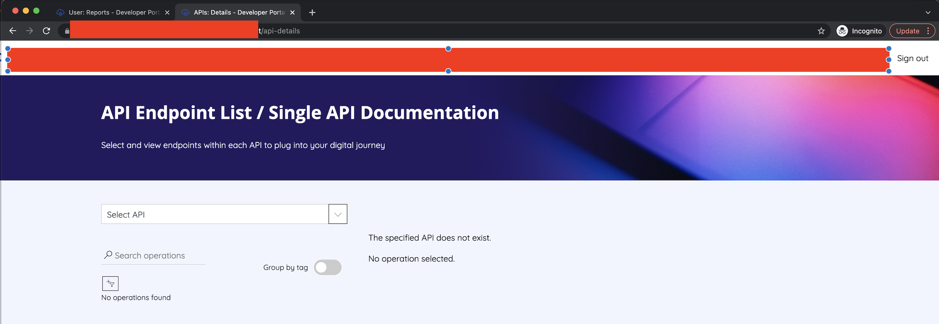API Details Page: Redirection to API Details page after login, unable ...