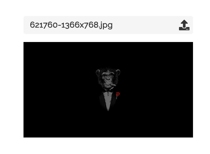 screen shot 2019-02-20 at 11 44 37 pm