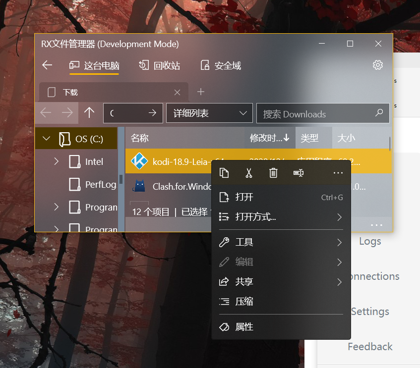 右键弹出的信息出现位置可能看不到 · Issue #72 · zhuxb711/RX-Explorer · GitHub