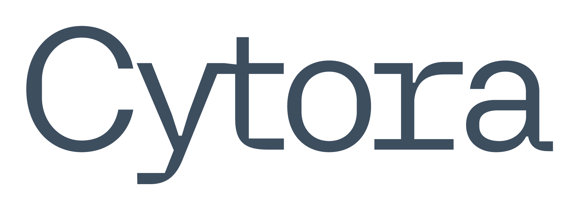 cytora_wordmark_rgb_brandgrey