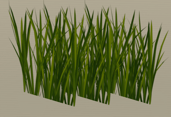 2021_0206_Grass