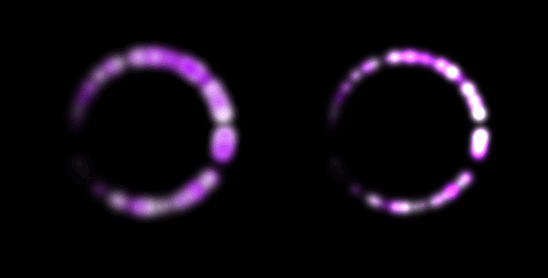 2021_0306_ParticleEx