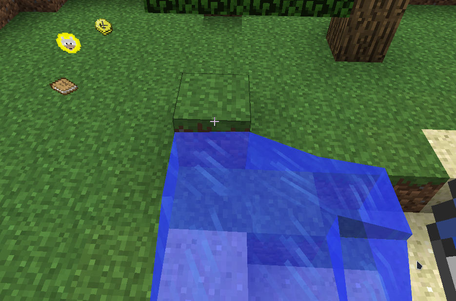 [1.7.10] Vanilla ender portal issue · Issue #20 · quentin452/privates ...