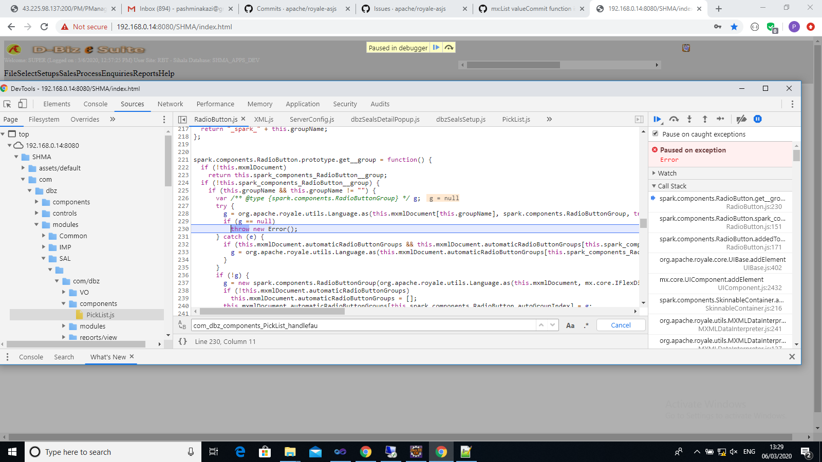 RadioButton get group throws Error and not working Properly · Issue