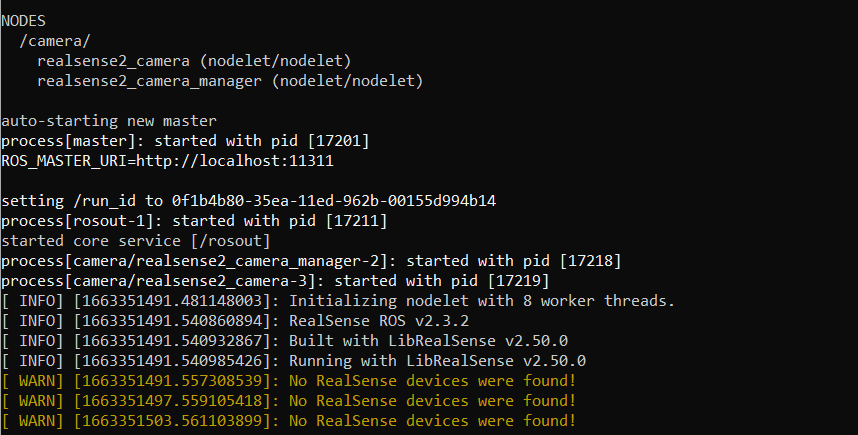 No realsense devices were found · Issue #10912 · realsenseai ...