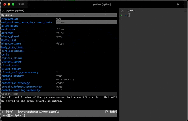 mitmproxy-issue-4926-fix