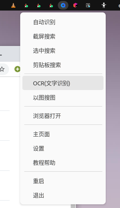 无法使用托盘的ocr和以图搜图功能 · Issue #107 · xushengfeng/eSearch · GitHub