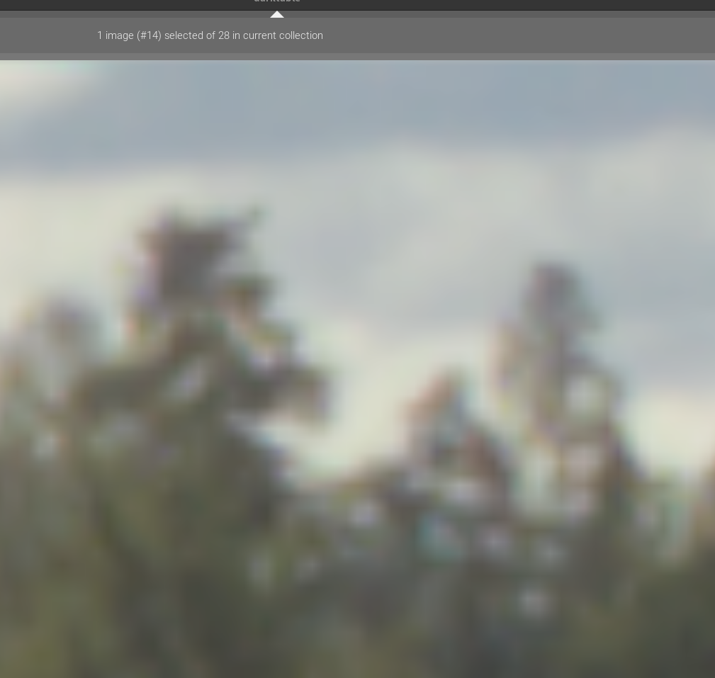 Git master Where have the pixel tiles gone in darkroom at 1600 image