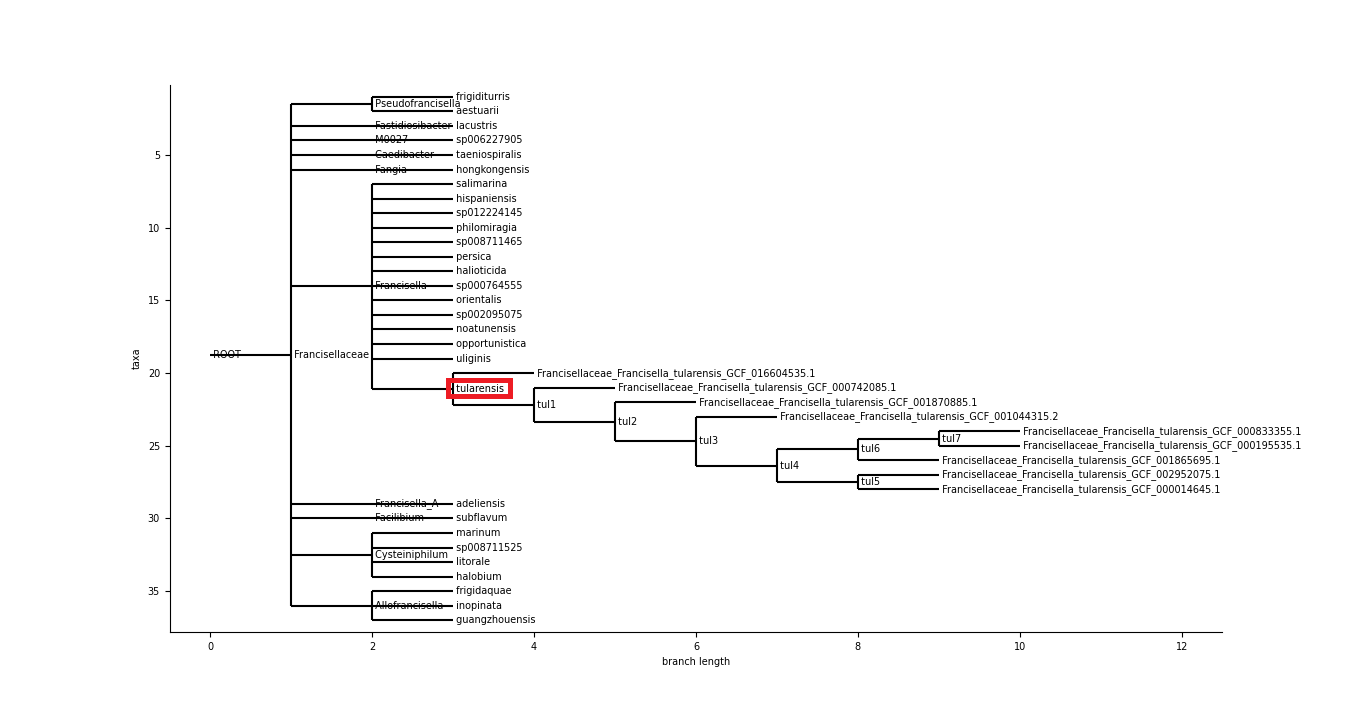 gtdb_francisellaceae_tularensis