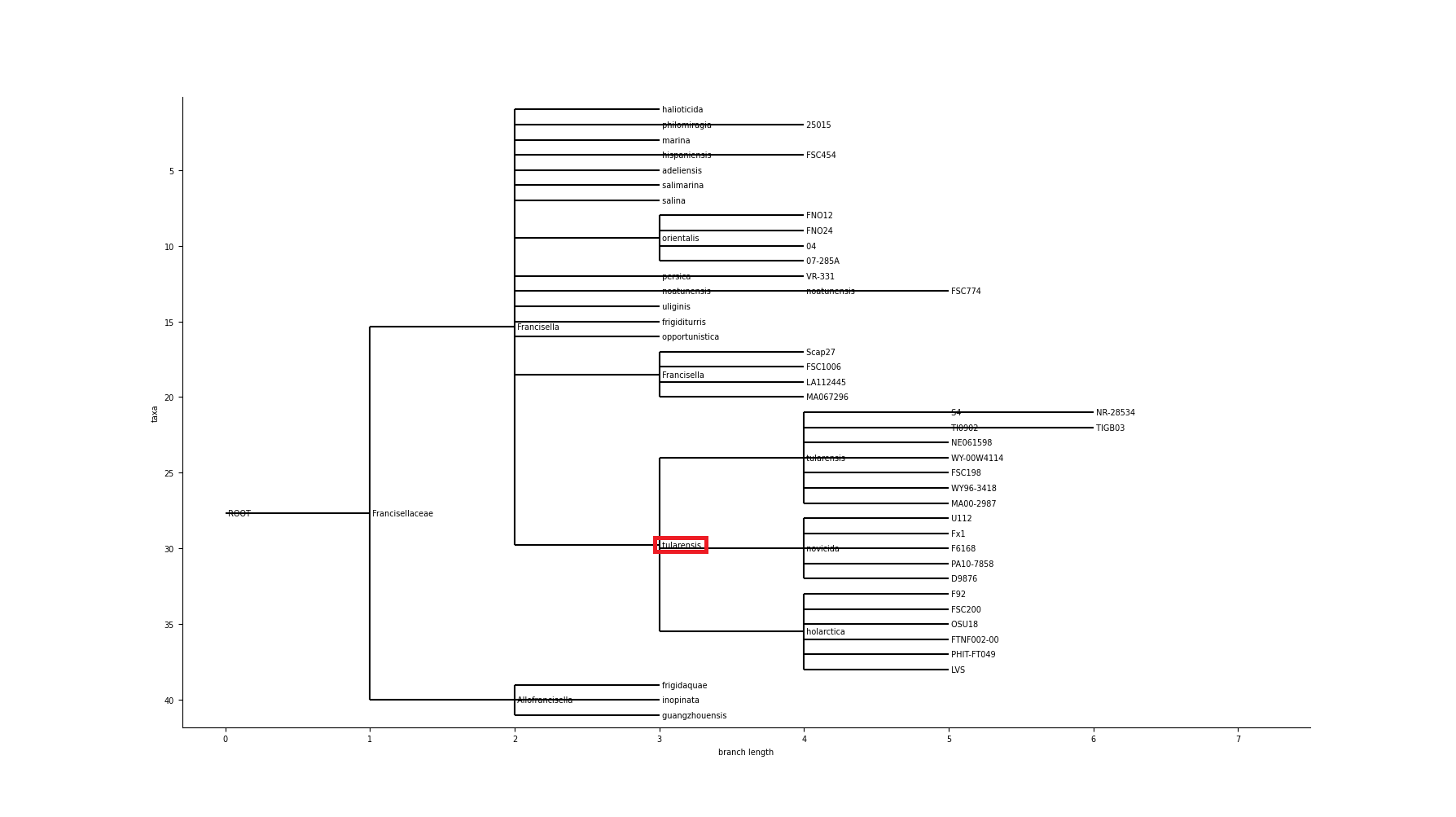 ncbi_francisellaceae