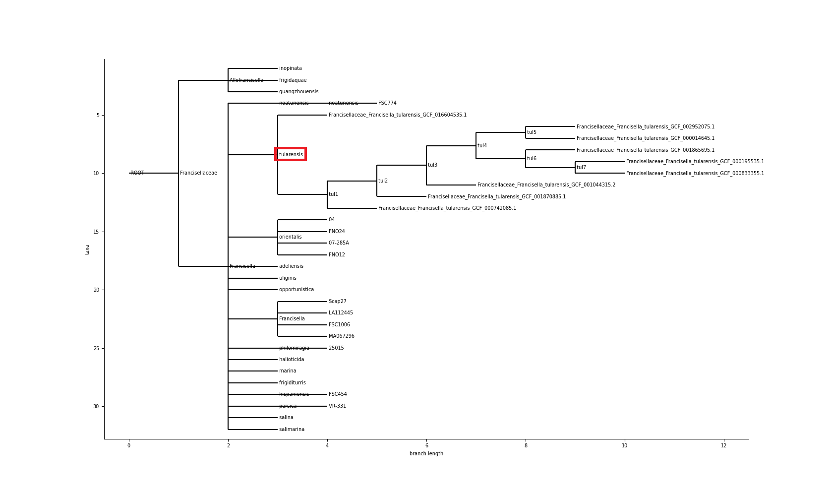 ncbi_francisellaceae_tularensis