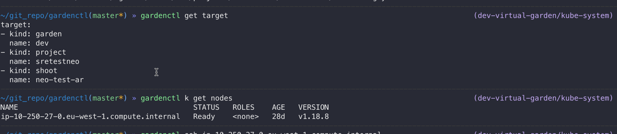 gardenctl ssh returns `Error parsing parameter '--filters': Expected ...