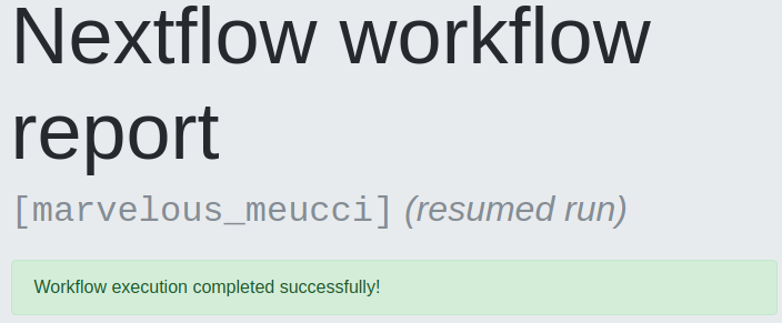 Run Name by default for the execution report files · Issue #630 ...