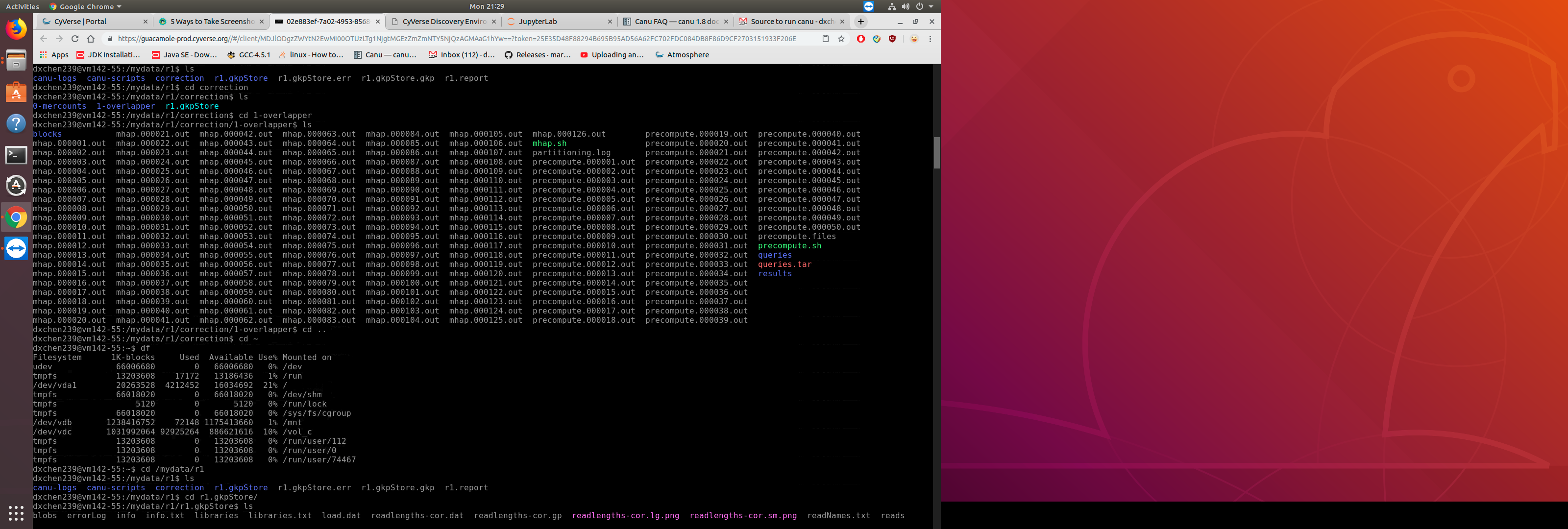 canu stopped in cormhap · Issue #1380 · marbl/canu · GitHub