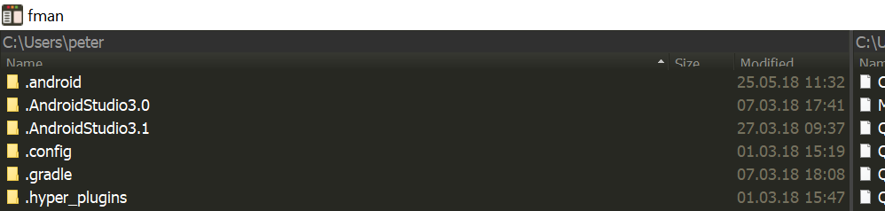 fman render issue