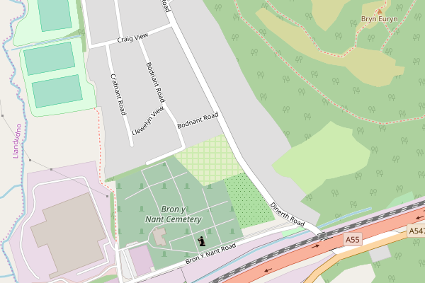 bronynant-6px-mix-on-grass