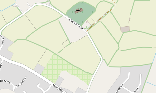 marshfield-6p-mix-on-grass