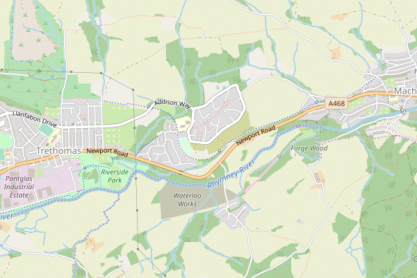 trethomas-mix-on-garden