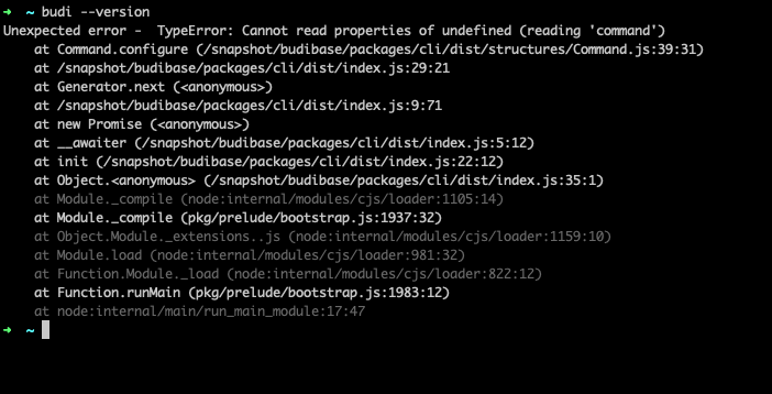 yarn add Or npm install Error · Issue #10502 · Budibase/budibase · GitHub