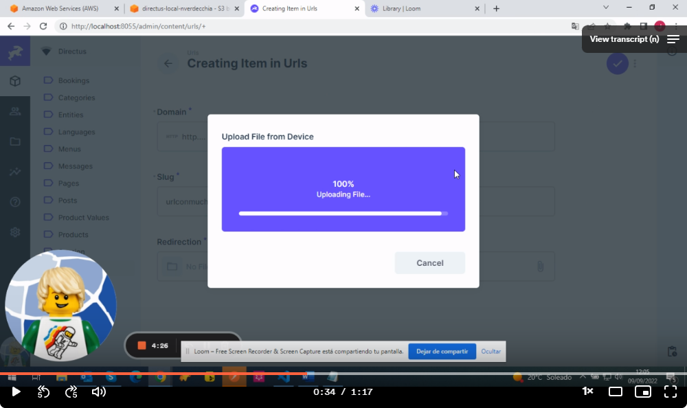 Directus Storage Adapter AWS S3 error · directus directus · Discussion ...