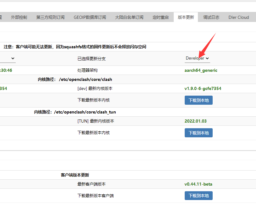 守护程序未运行 · Issue #1973 · vernesong/OpenClash · GitHub
