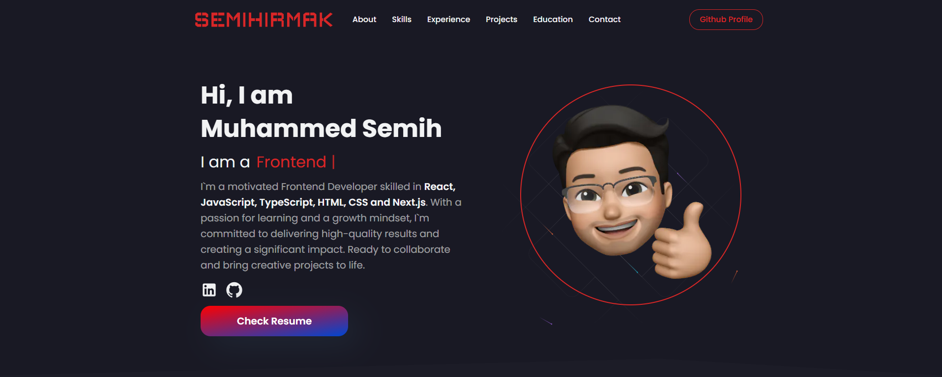 GitHub - smhirmak/msi-portfolio