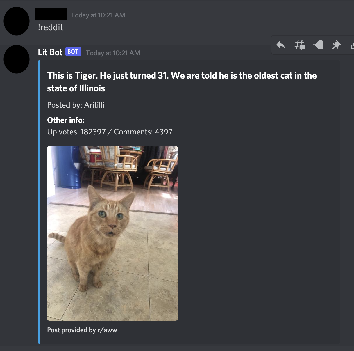 GitHub emm792/DiscordBot Personal Discord Bot for close friend